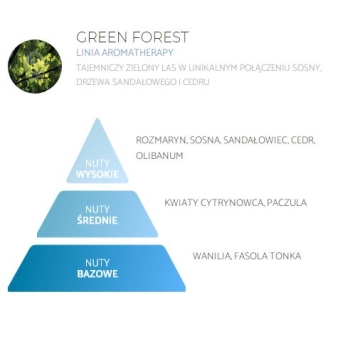 Odświeżacz powietrza GREEN FOREST SPRING AIR 250 ML - profesjonalny i  naturalny odświeżacz powietrza